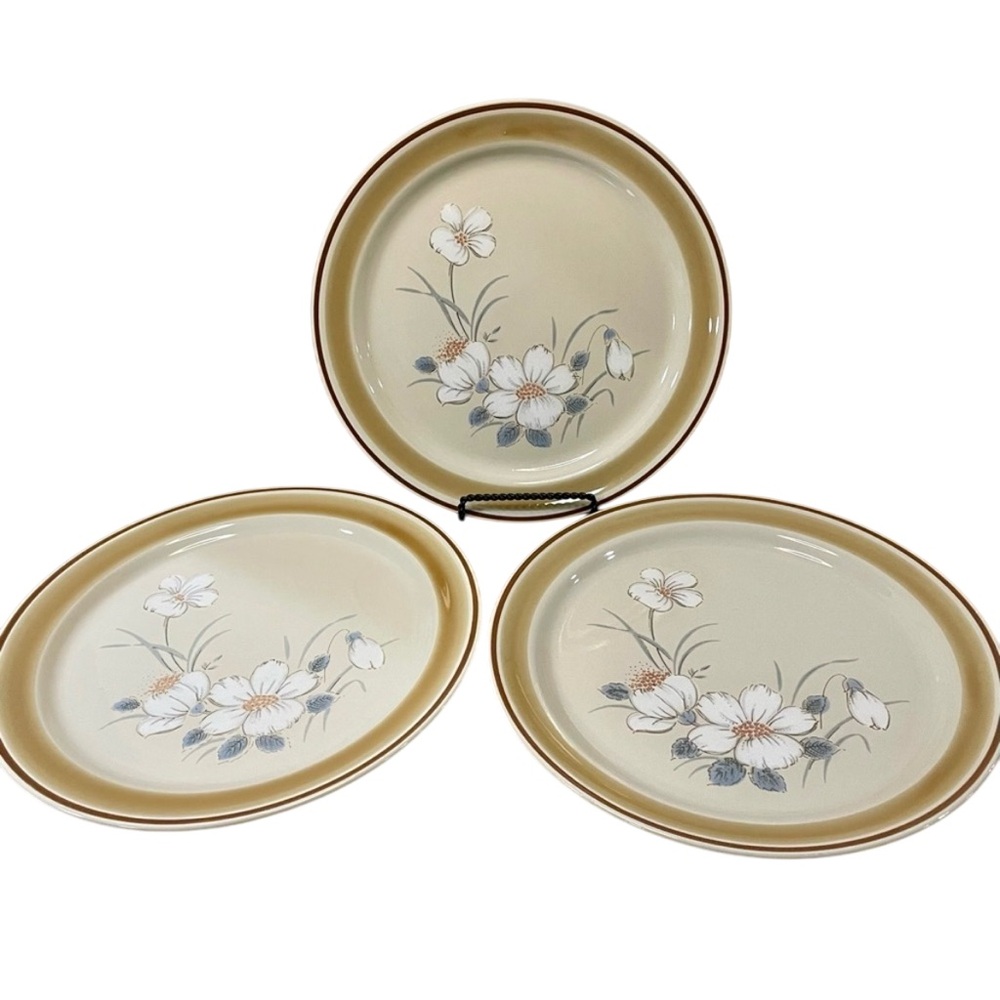 Vintage Water Colors Dawn Hearthside Stoneware Dinner Plates Set of 3 Japan 70’s
